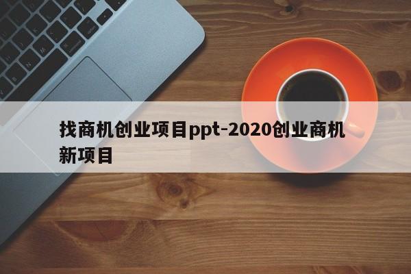 找商机创业项目ppt-2020创业商机 新项目