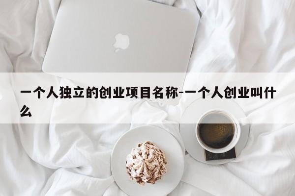 一个人独立的创业项目名称-一个人创业叫什么