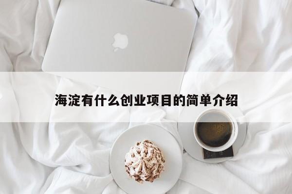 海淀有什么创业项目的简单介绍