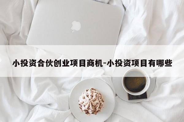 小投资合伙创业项目商机-小投资项目有哪些