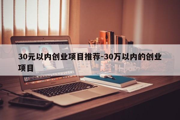 30元以内创业项目推荐-30万以内的创业项目