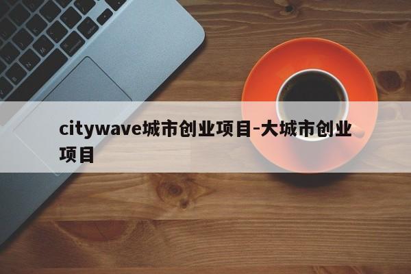 citywave城市创业项目-大城市创业项目