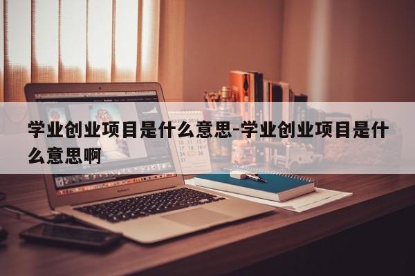 学业创业项目是什么意思-学业创业项目是什么意思啊