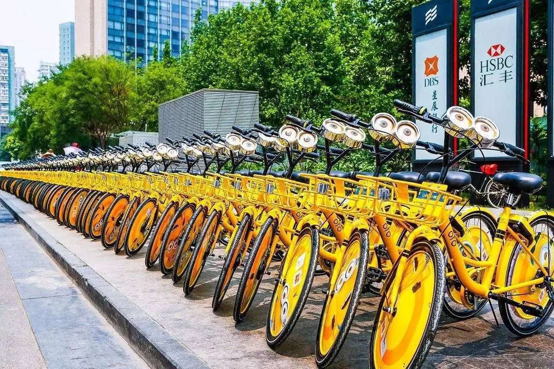 小黄车成都的注册地址(成都小黄车多少钱一个小时)