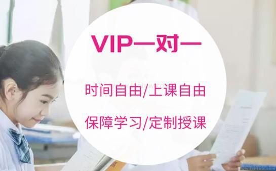 成都培训机构网站注册(成都培训机构网站注册流程)