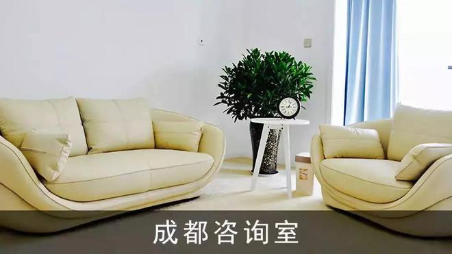 成都注册心理咨询公司(成都注册心理咨询公司有哪些)