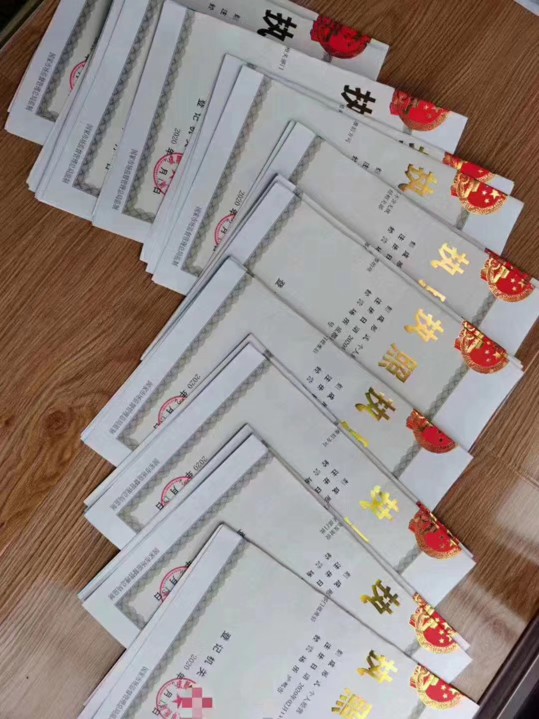 成都笨鸟邦注册公司(成都笨鸟邦注册公司地址)