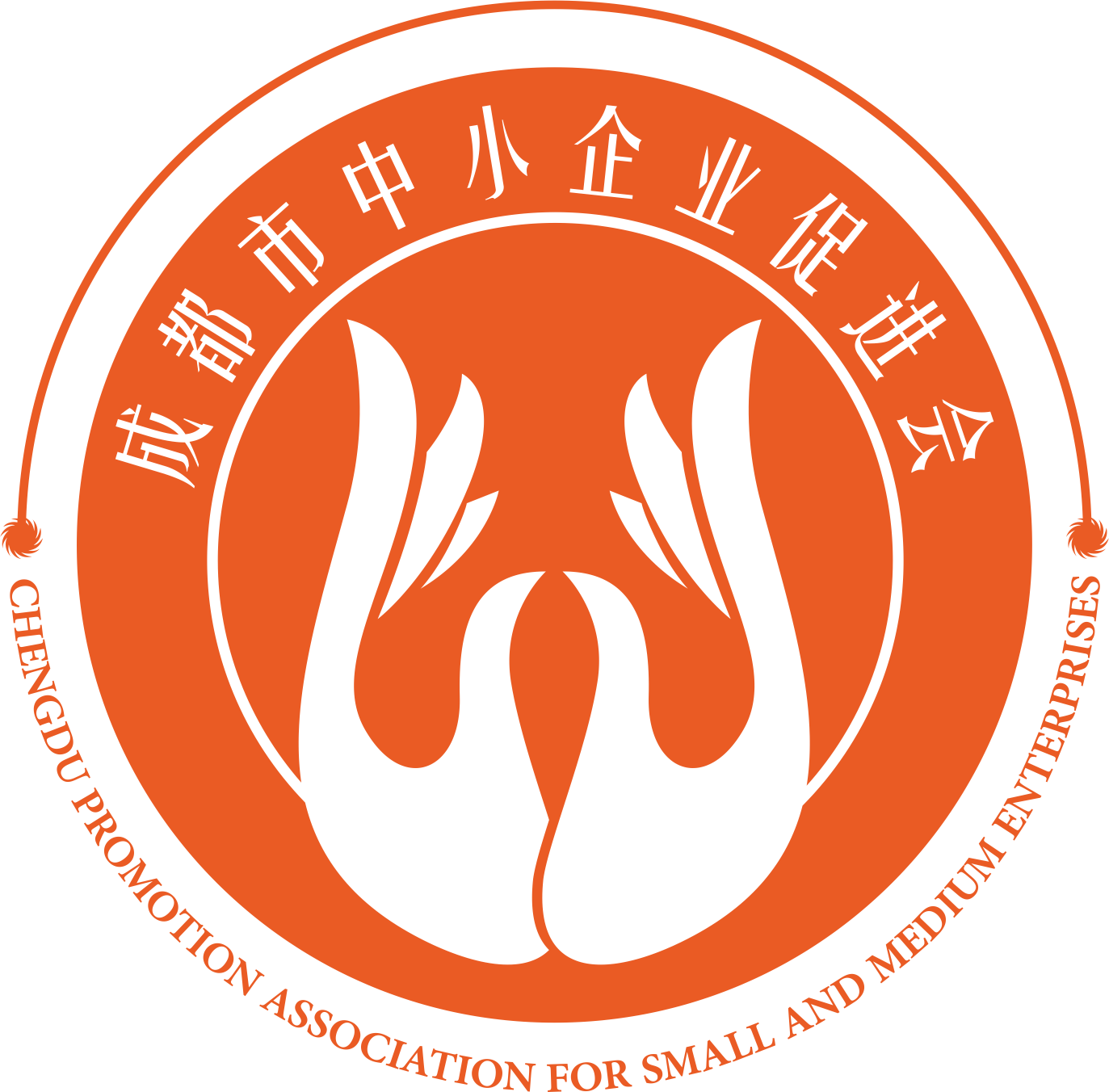 成都民办非营利组织注册(成都市民办非企业成立登记)