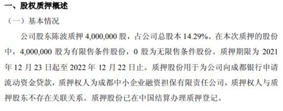 成都非融资担保注册(成都非融资担保注册公司)