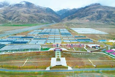 公司注册四川成都石渠(成都企业注册公司)