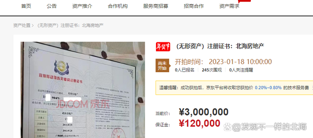 宜搜成都注册中心的简单介绍