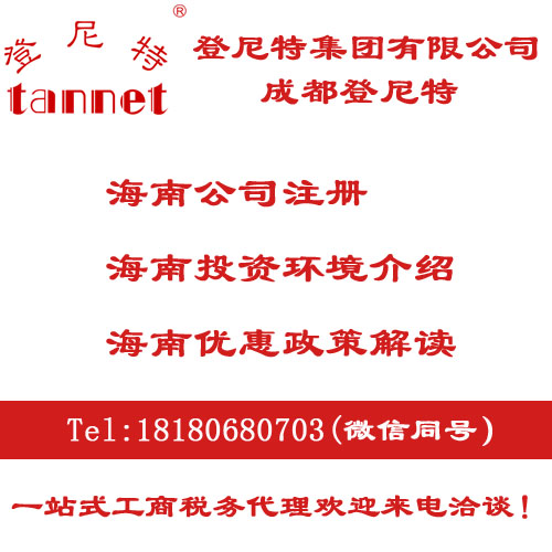 成都公司注册登尼特(成都登尼特企业管理有限公司)