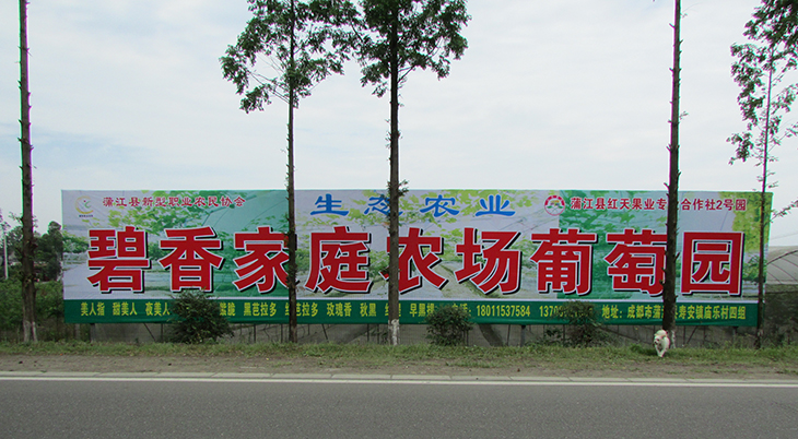 成都家庭农场登记注册(成都市家庭农场注册条件)