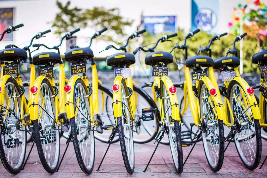 小黄车成都注册地址(小黄车注册地址在哪里)