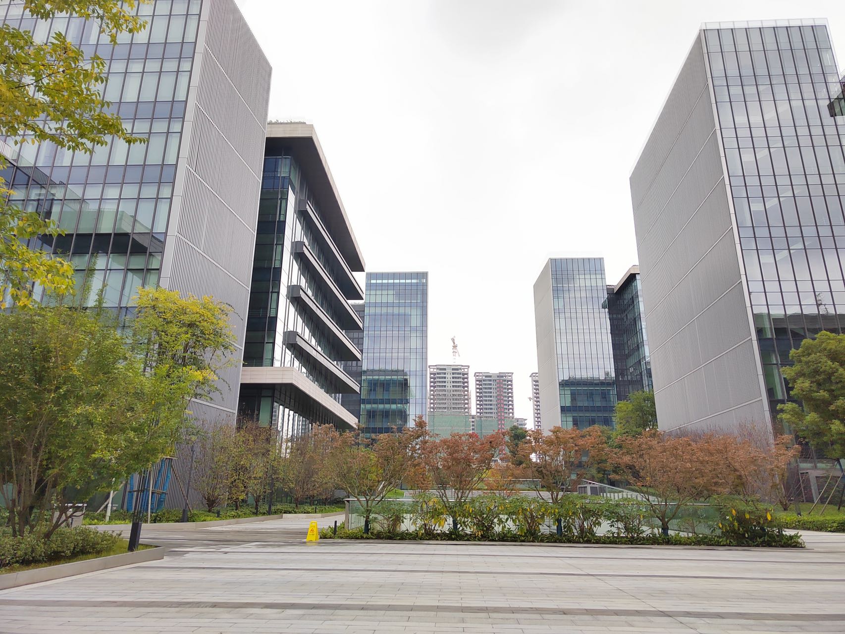 成都大学科技园注册企业(成都大学哪类公司优先入驻大学生创业孵化园)