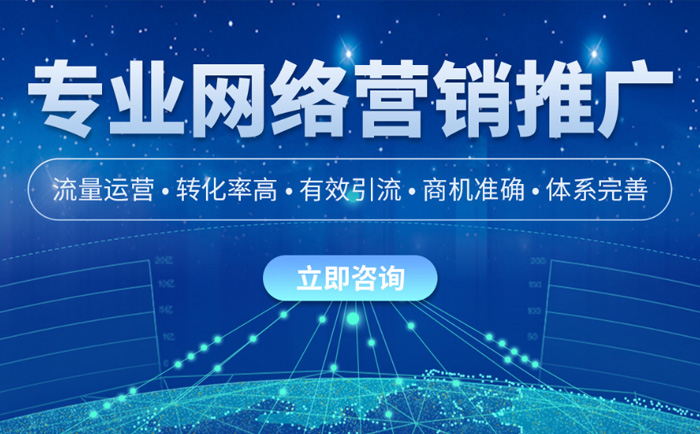 公司推广网站(专业公司推广网站价格)