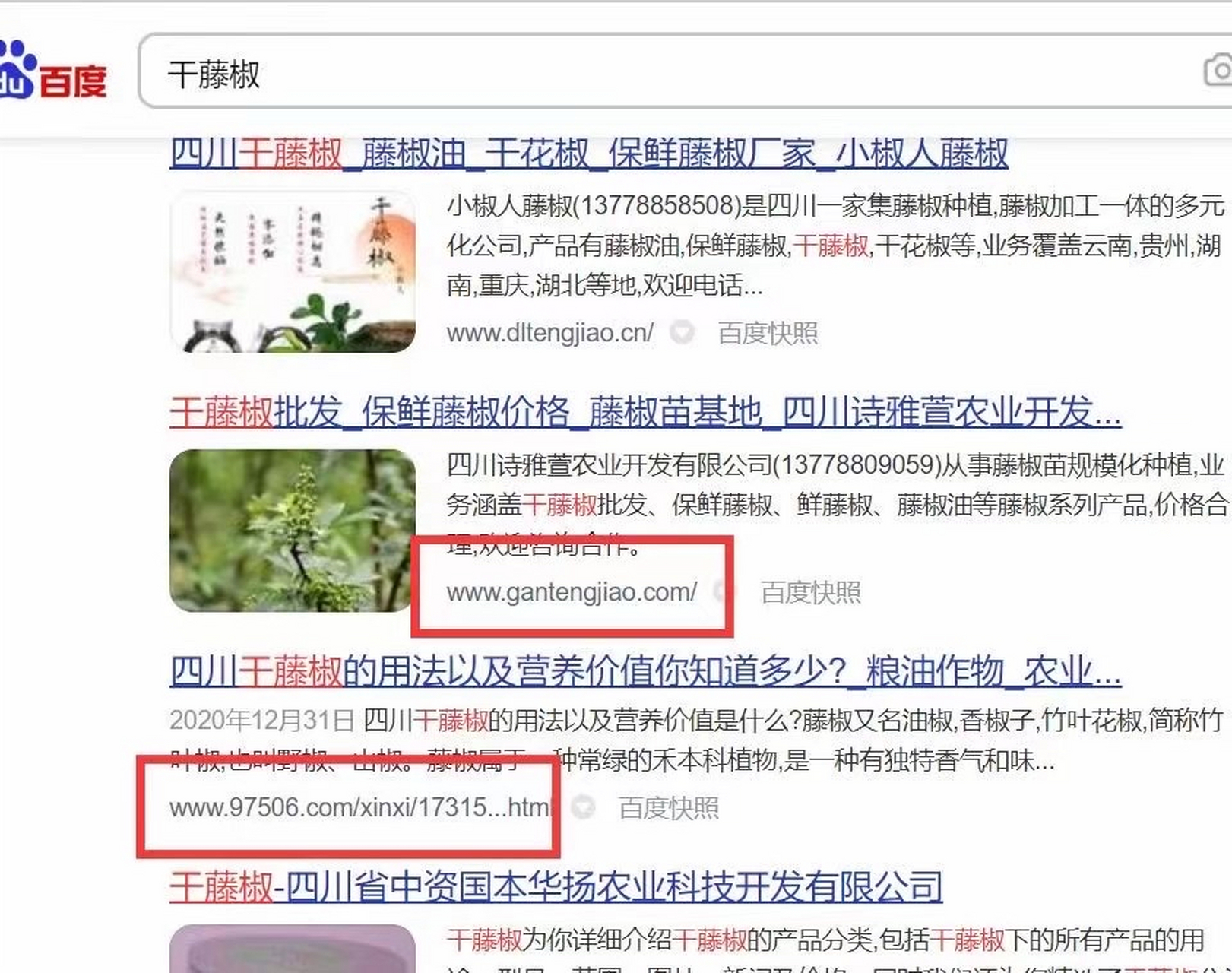 西安网站推广(西安网站优化排名推广)