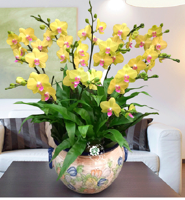 seo领导屋(seo三人行网站) seo领导屋(seo三人行网站)