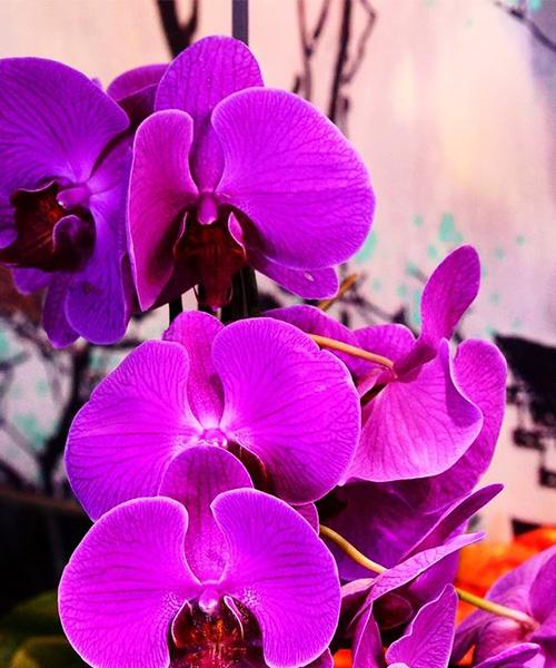 seo领导屋(seo三人行网站) seo领导屋(seo三人行网站)