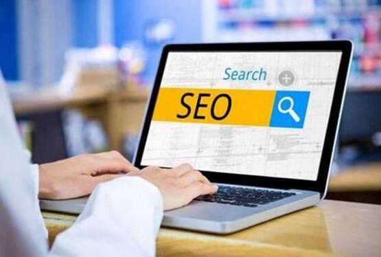 seo快速优化软件(seo快速优化软件有哪些)