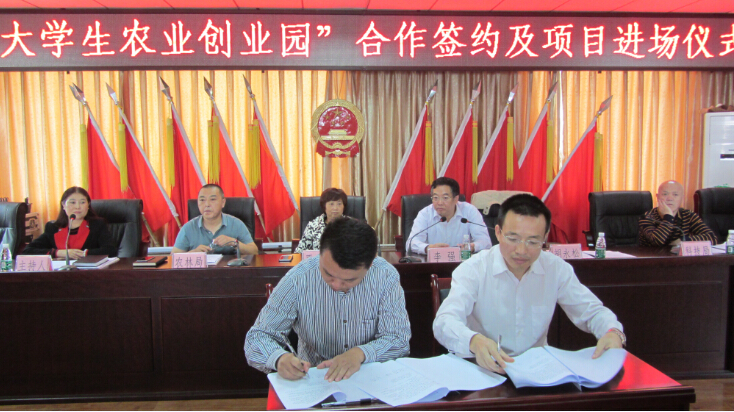 成都创业公司注册费用大邑(成都注册公司有什么优惠政策)