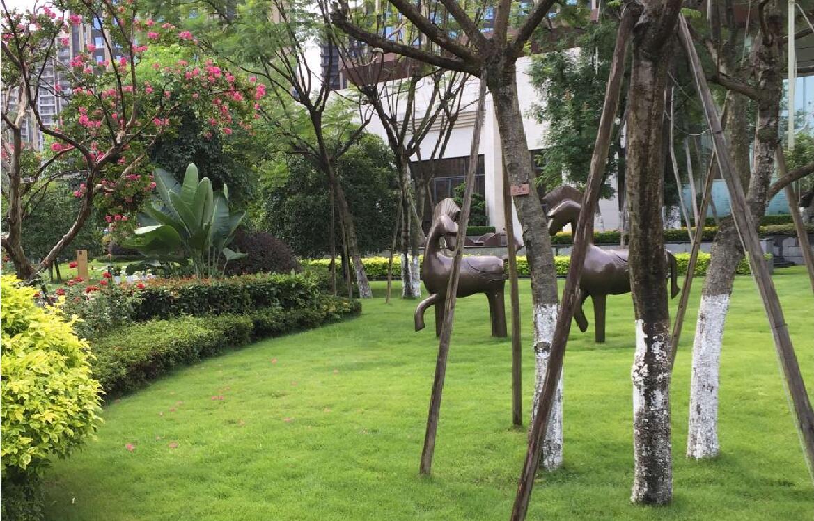 成都南山设计公司注册(成都南山设计公司注册地址)