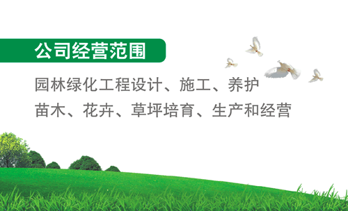 锦江区注册园林绿化公司在哪里(锦江区注册园林绿化公司在哪里办理)