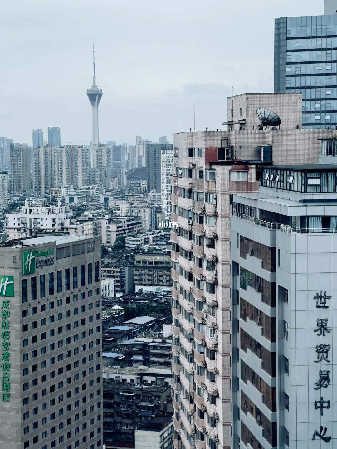 成都注册随手拍 成都随手拍有奖励吗 