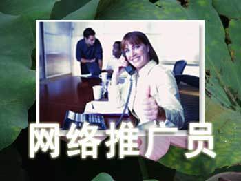 网络推广团队的简单介绍