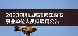 成都事业单位招聘注册会计师 成都注册会计师工资一般是多少 