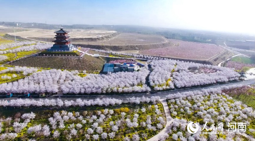 荥阳seo 荥阳seo推广 